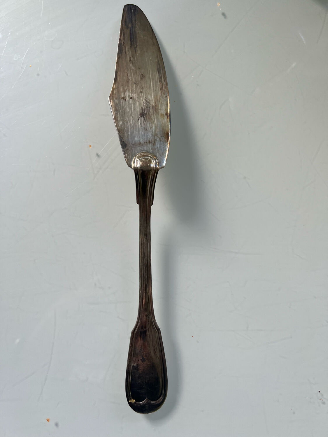 Silverware fish serving cutlery