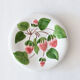 4 vintage plates in slurry fruit decoration
