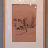 Pair of nineteenth pencil study drawings