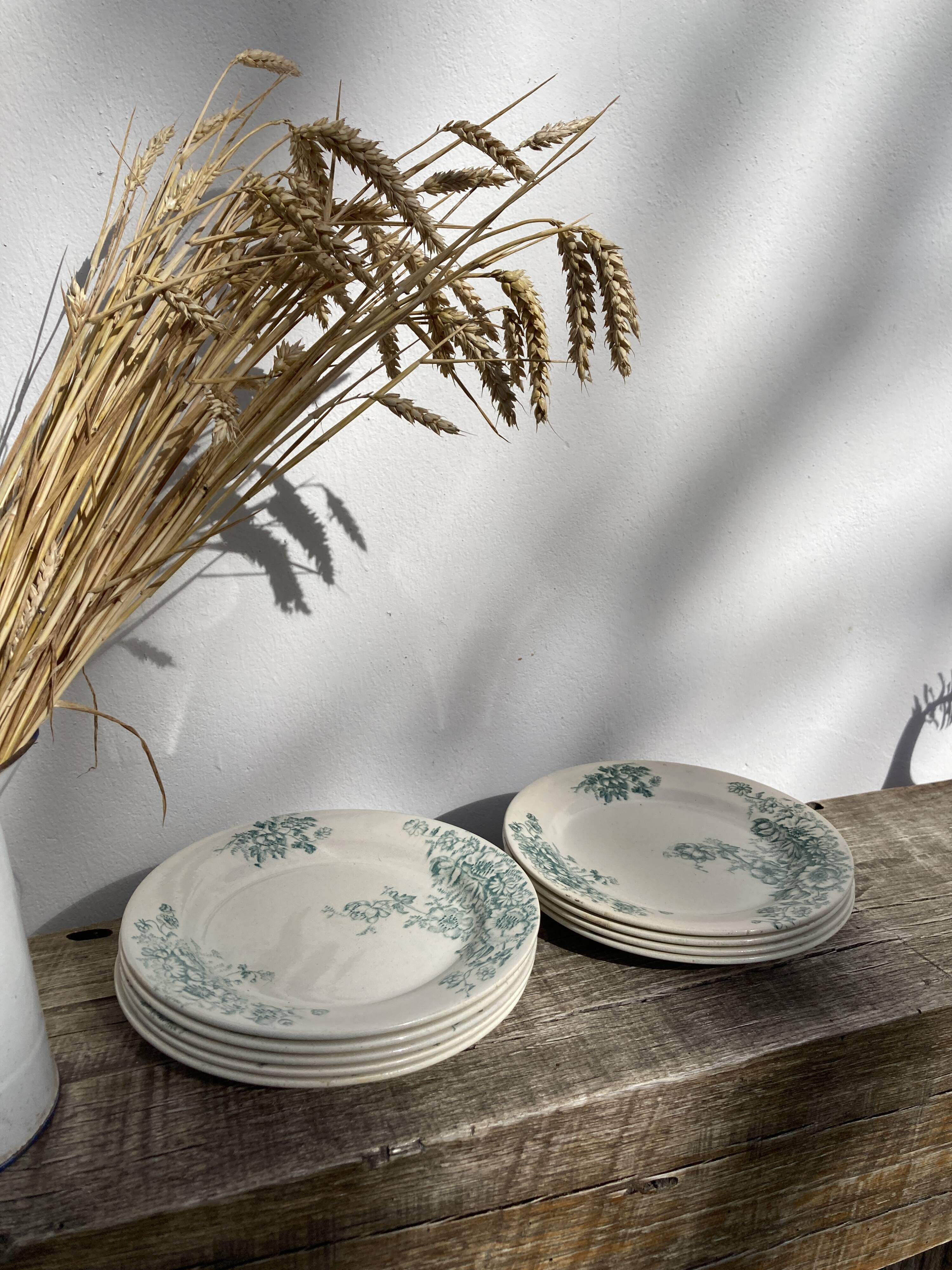 8 Terre de fer plates Anémones Bertrand Bordeaux old in green ceramic decorated with flowers