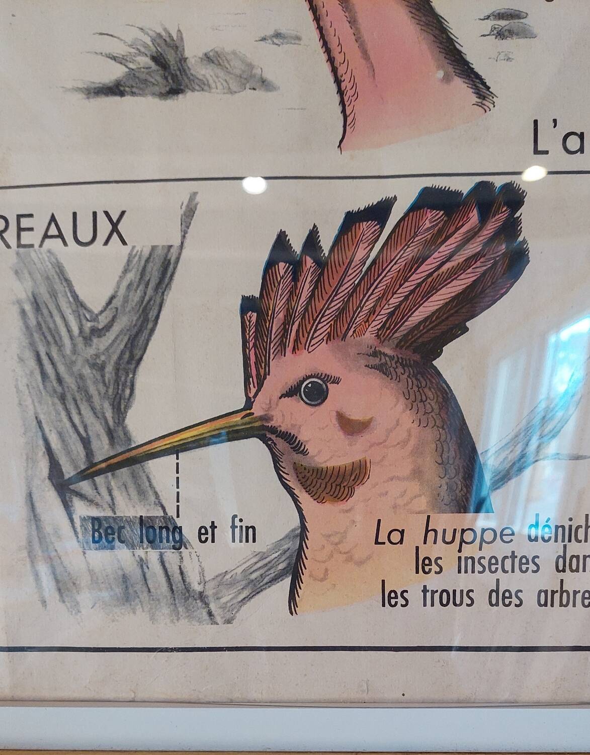 School poster