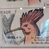 School poster