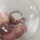 Pair of small antique vases, Touraine model, in Saint Louis crystal