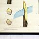 Vintage School Botanical Posters, 1950s, Set of 3
