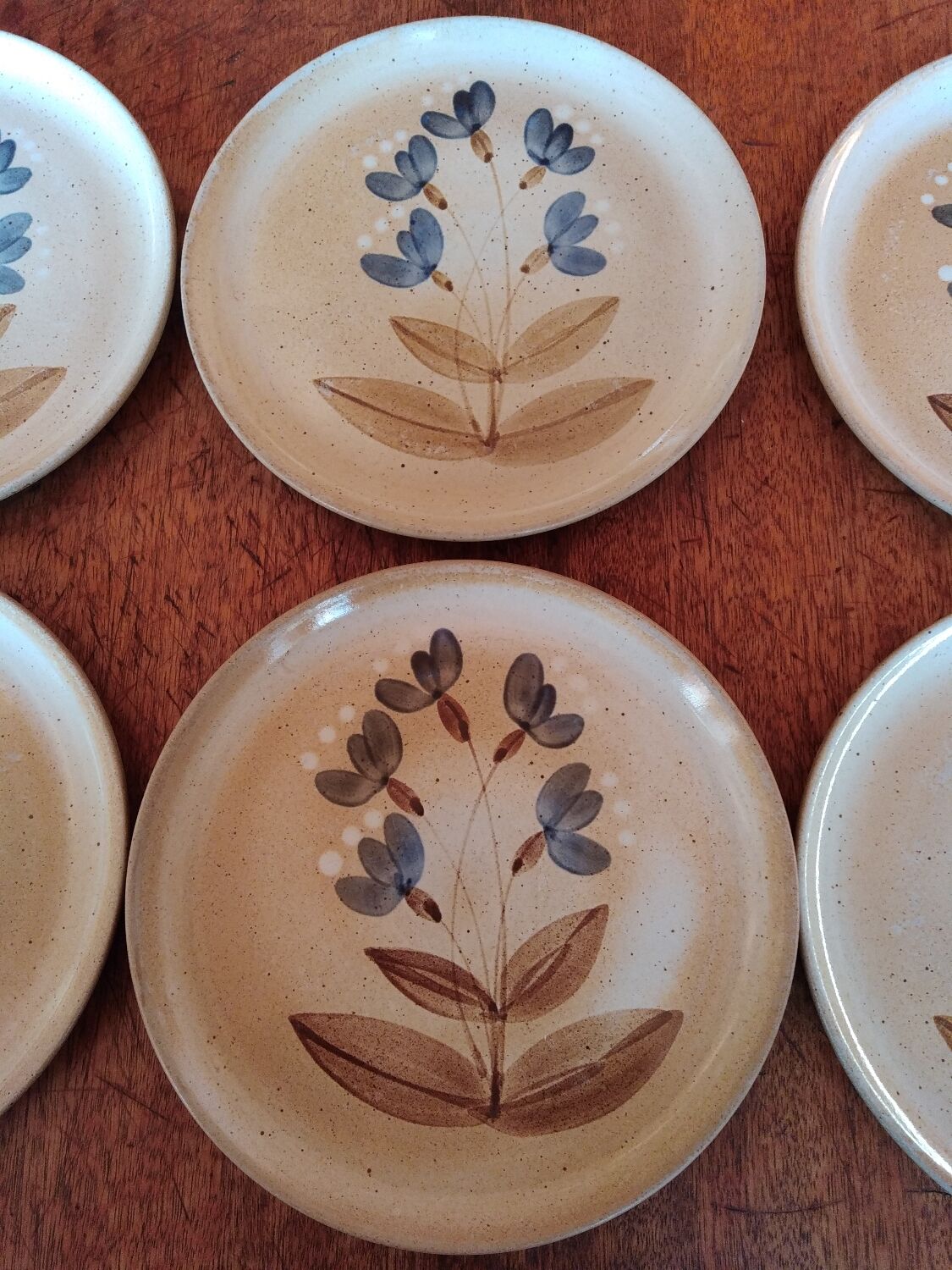 Flat plates sandstone of the marsh