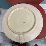 A large dish
