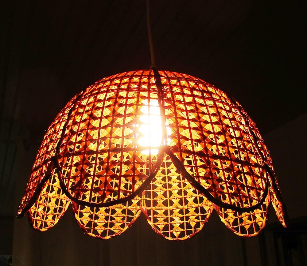 Tulip hanging in rattan