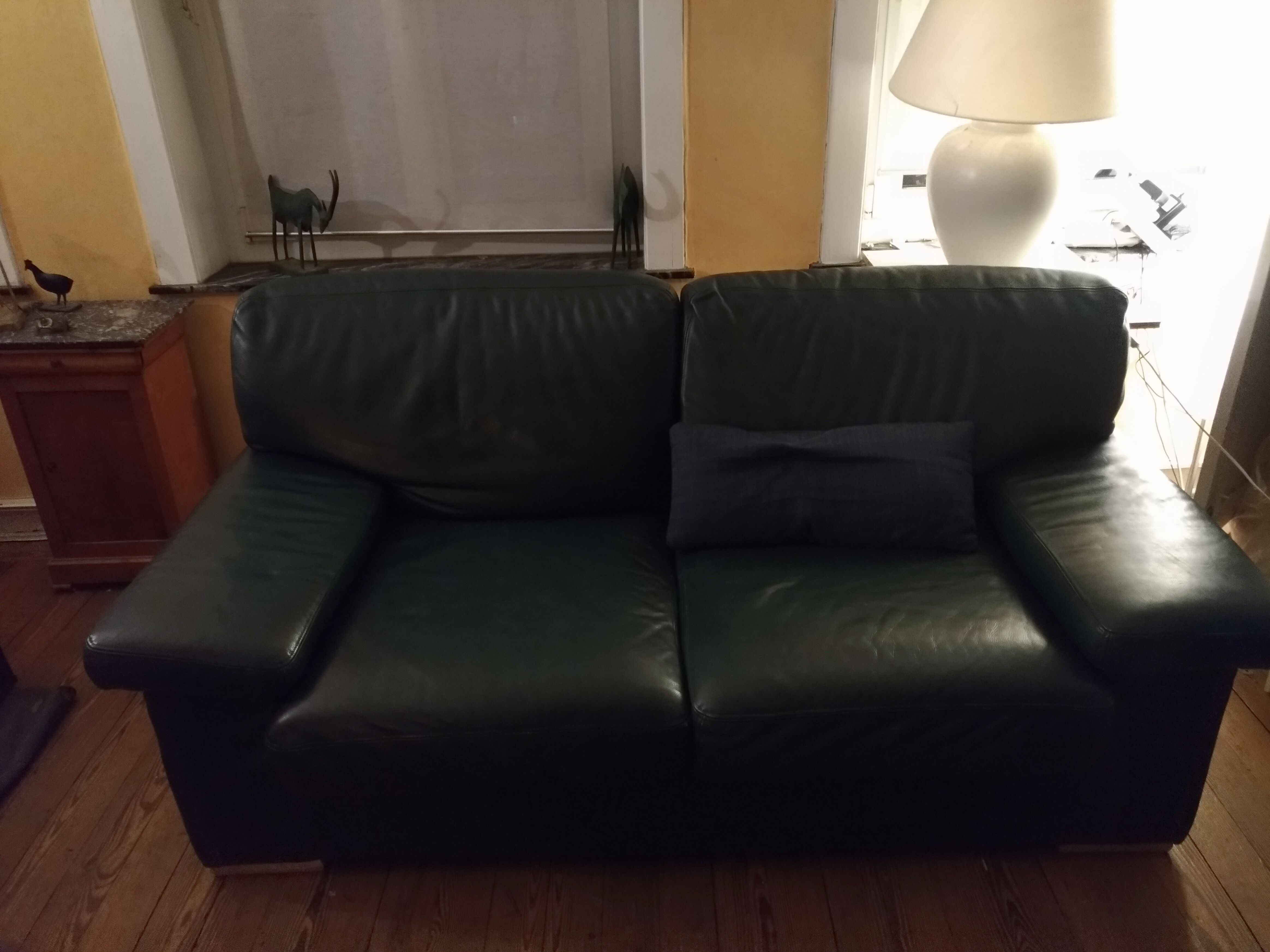 Leather sofa Roche Bobois