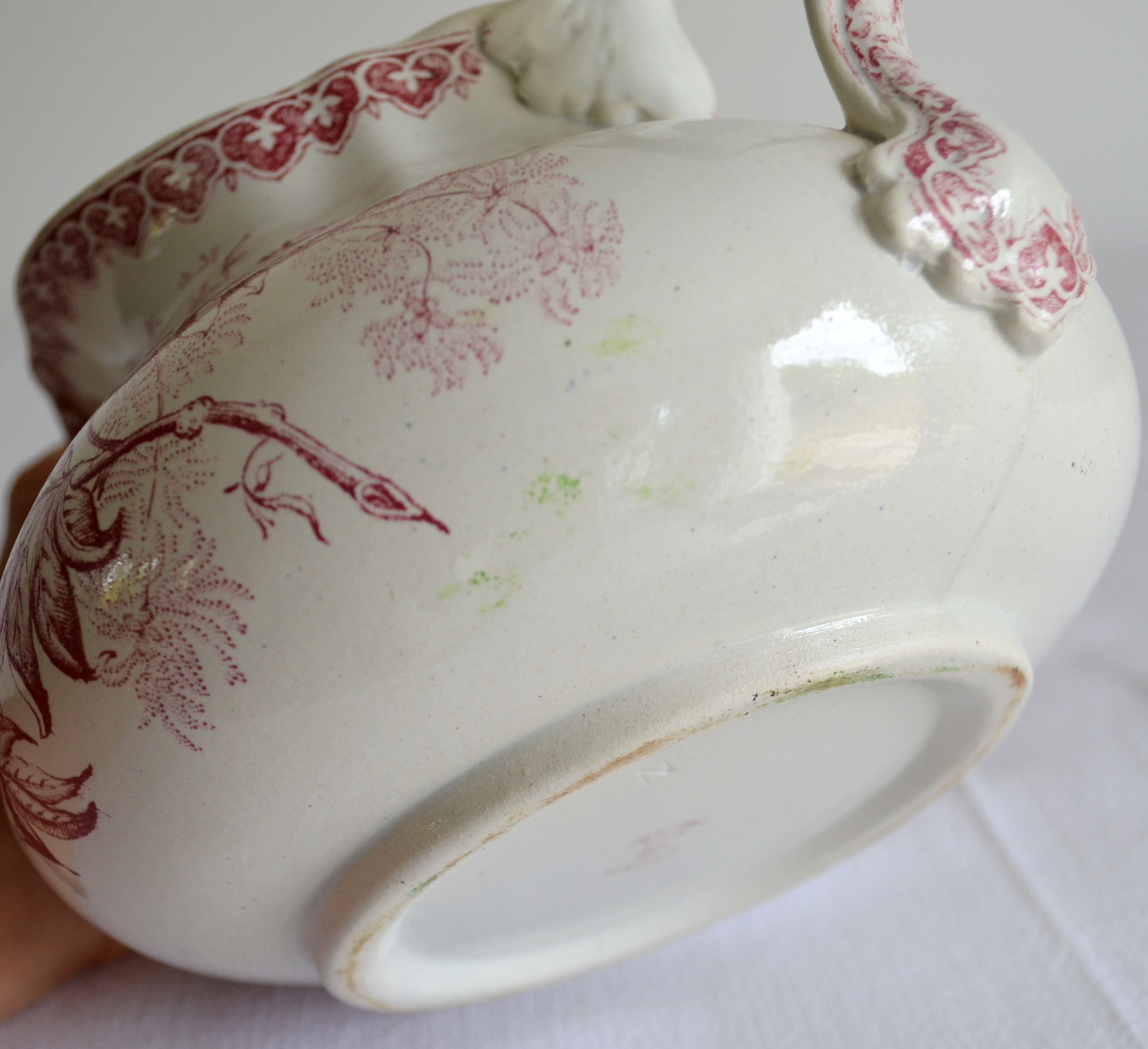 Bushy earth pitcher