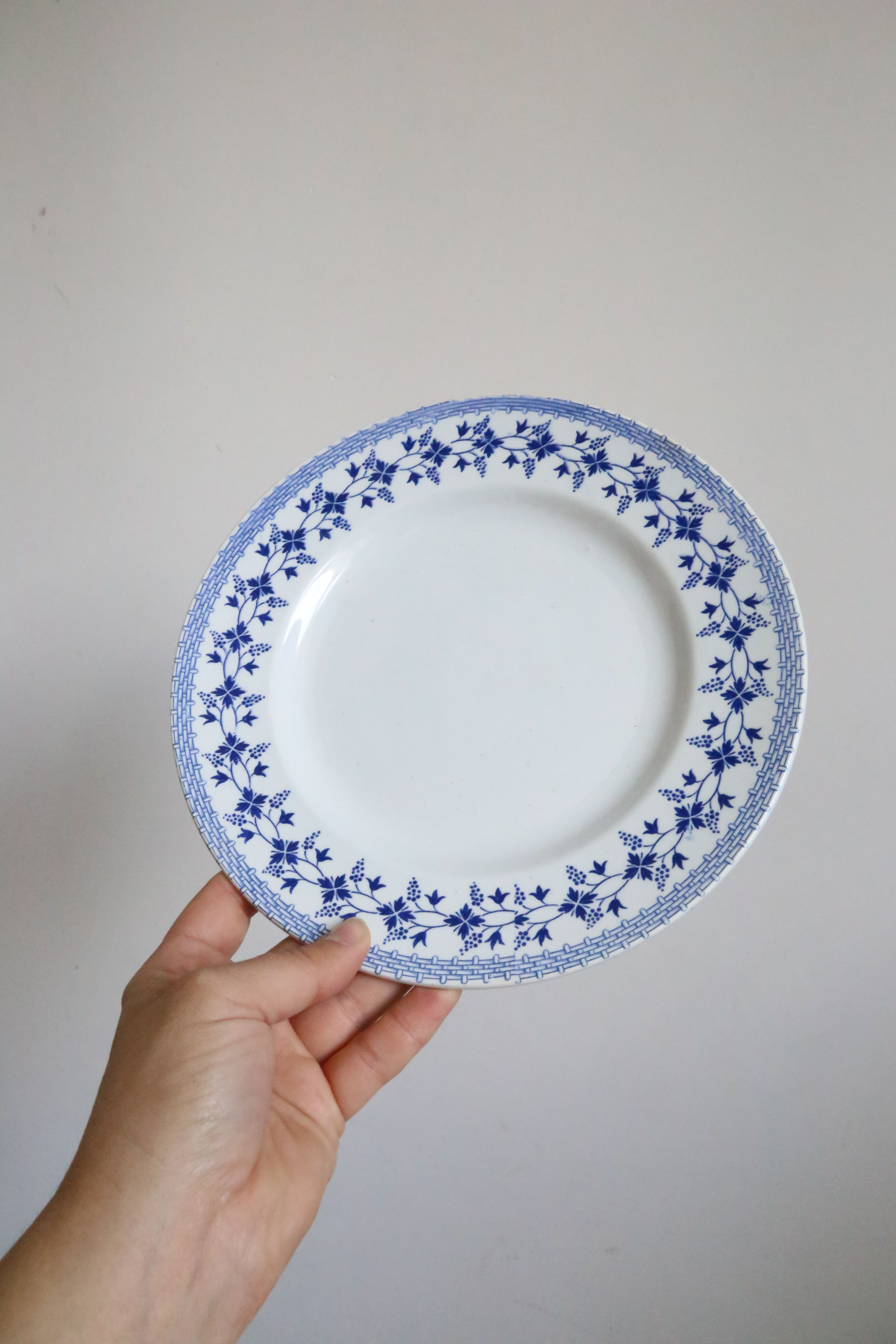 Ensemble de 9 assiettes plates, saint Amand, Bleuets, terre de fer
