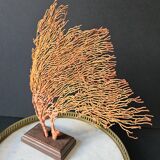 Red Gorgon Wooden Base. H: 32 cm | Decorative Object & Curiosity