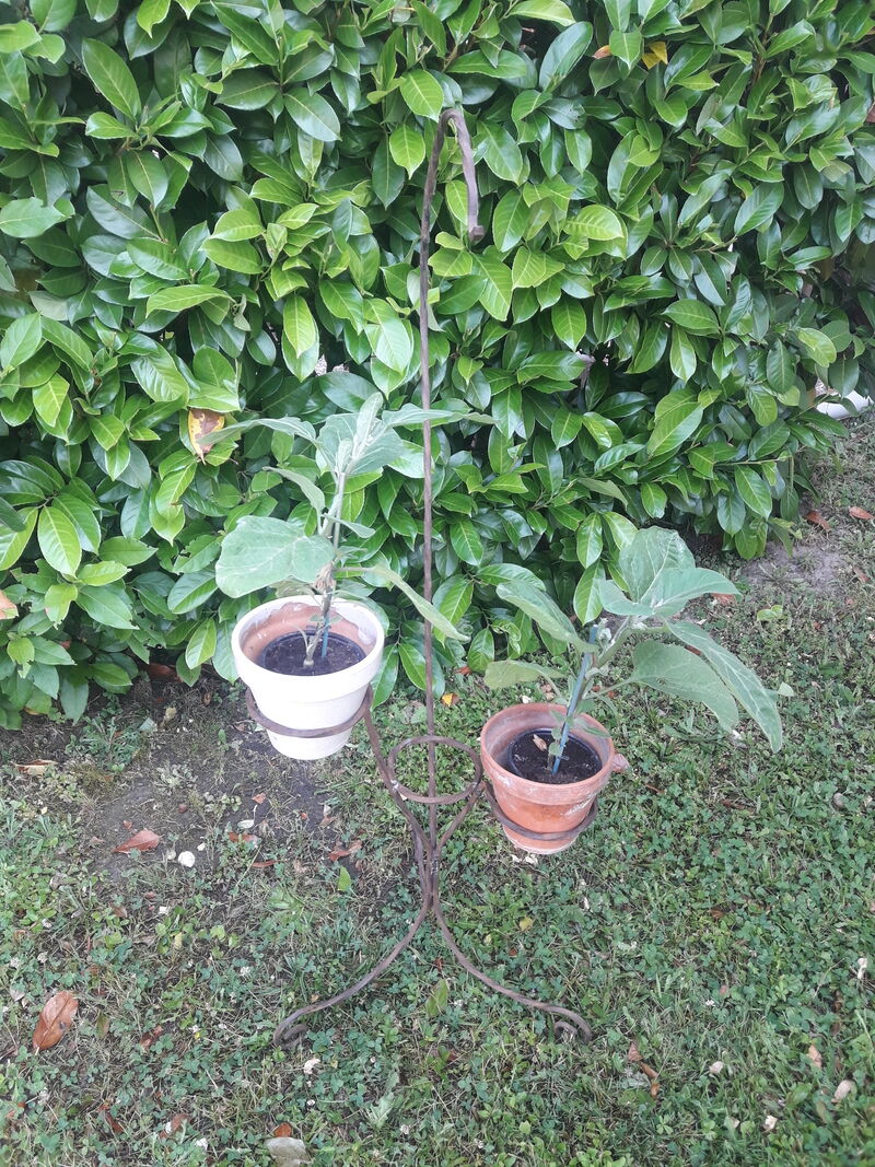 Porte plante h135cm fer torsadé vintage