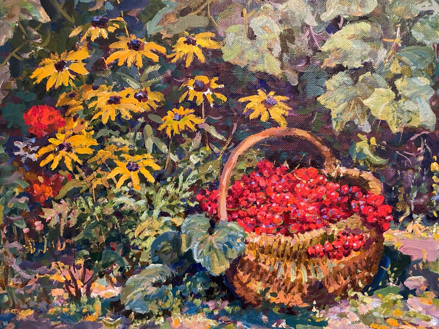 Basket of Russian school cherries