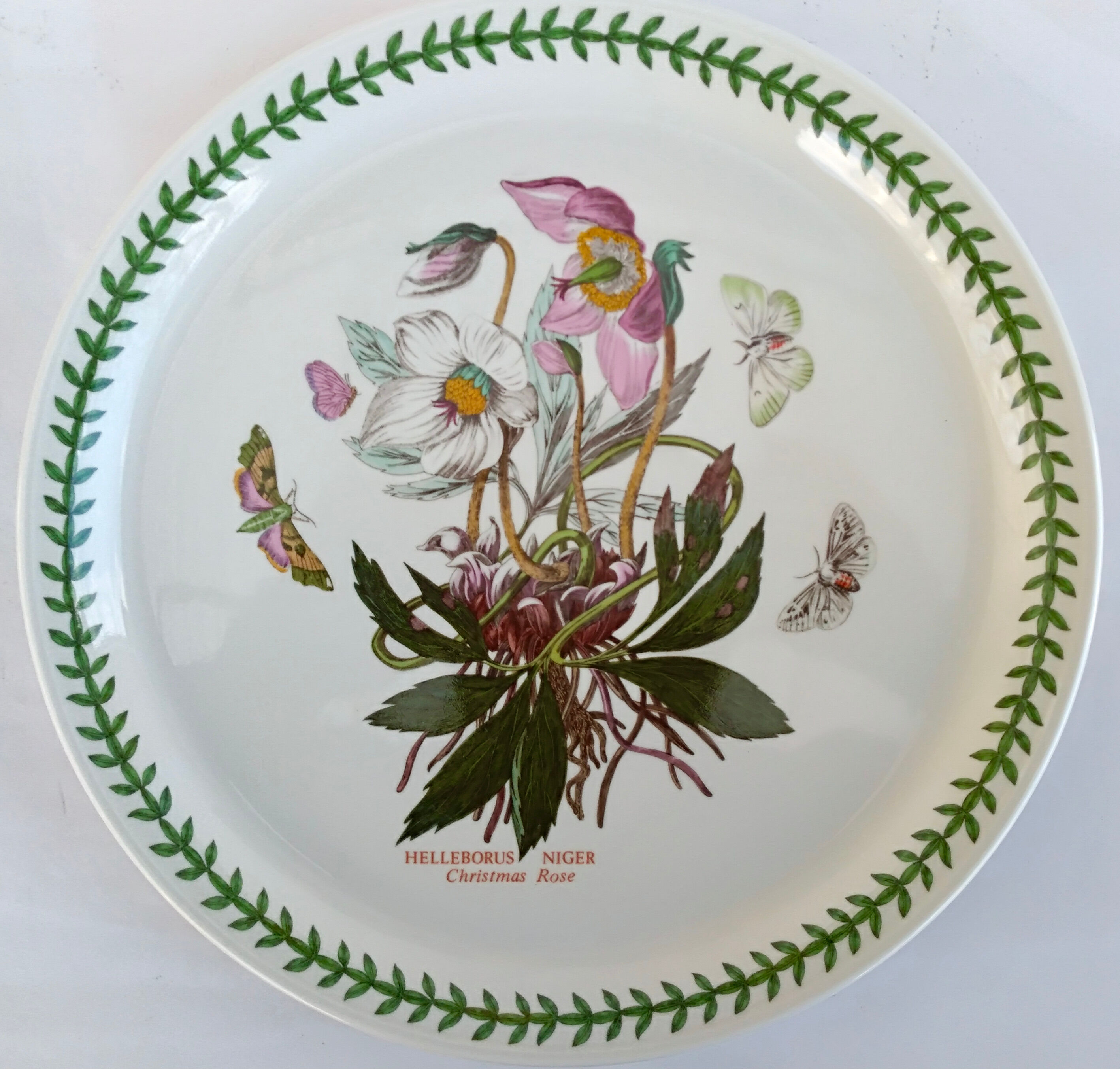 Set of 2 dishes earthenware portmeirion made in england décor botaznic garden