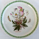 Set of 2 dishes earthenware portmeirion made in england décor botaznic garden