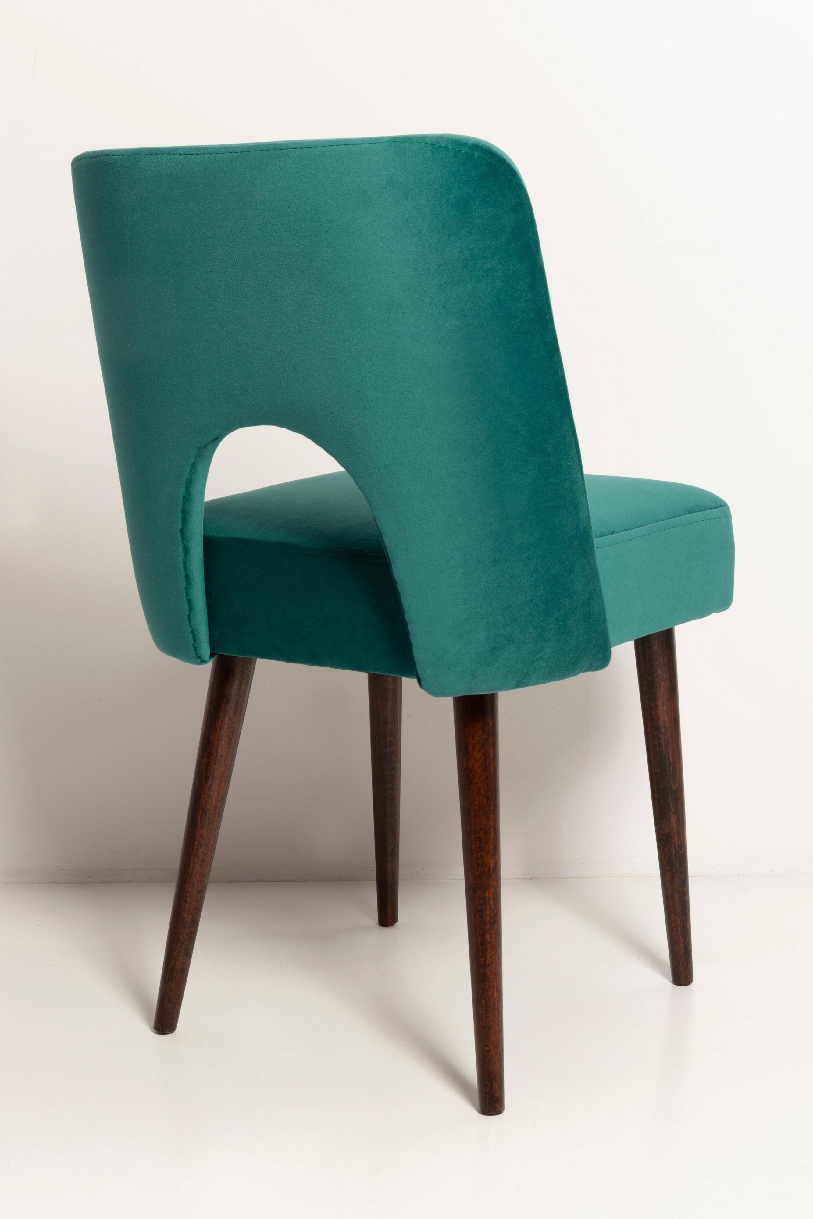 Chaise « shell » en velours crème et bois, Pologne, 1960s