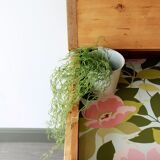 The Spring Desk