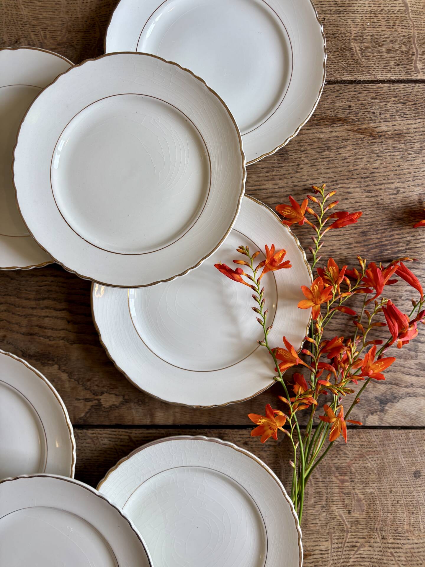 Set of 8 vintage dessert plates Moulin des Loups