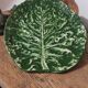 Grand plat Feuille de Chou Barbotine