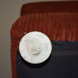 Mid-Century Italian Lounge Chairs, 1970s, Set of 2