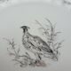 Hand-painted pheasant dish porcelain Au Vase Etrusque Paris