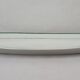Thick porcelain fish dish