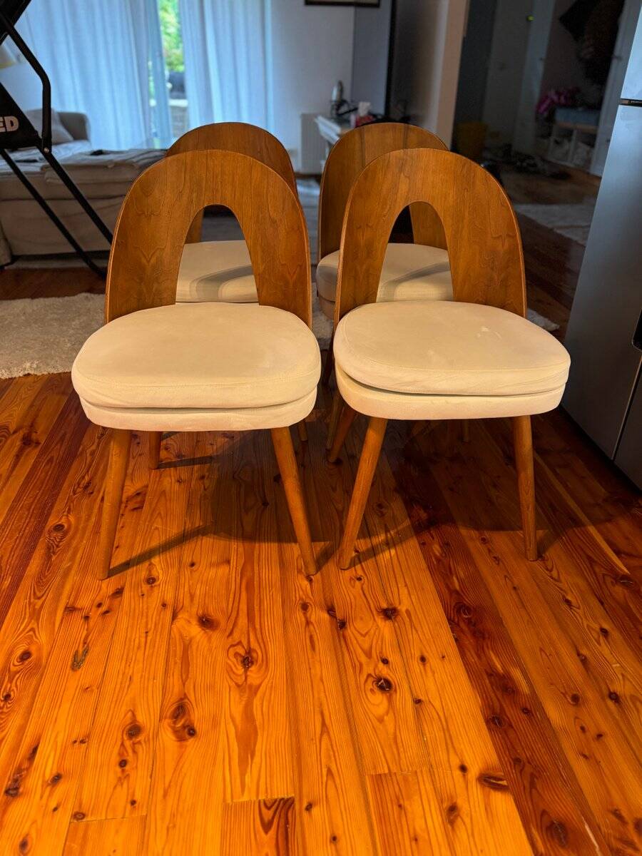 Mid-century dining chairs by Antonín Šuman for Tatra Furniture, 1960s, set of 4