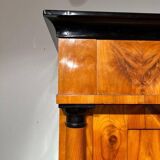 Large Biedermeier Armoire in Cherry, South Germany, 1820s