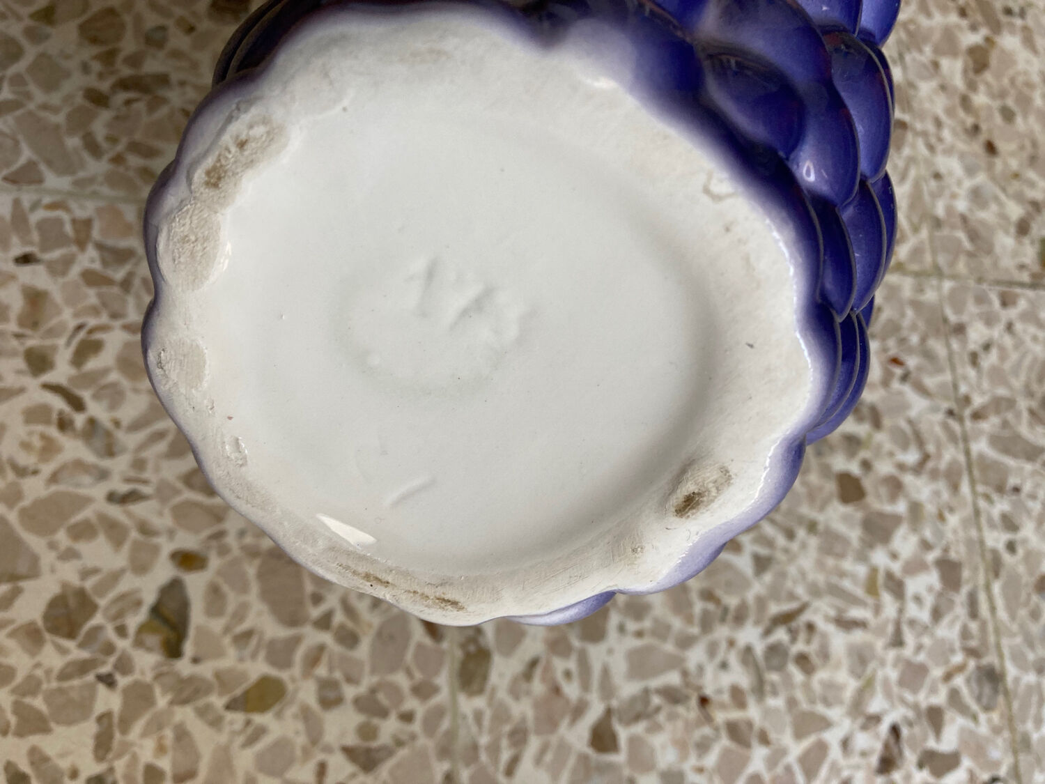 Slurry pitcher fruit grape