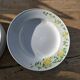 13 Richard Ginori flat and deep plates