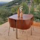 Table et chaises vintage