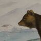 Planche zoologique originale " ours brun " - buffon 1840