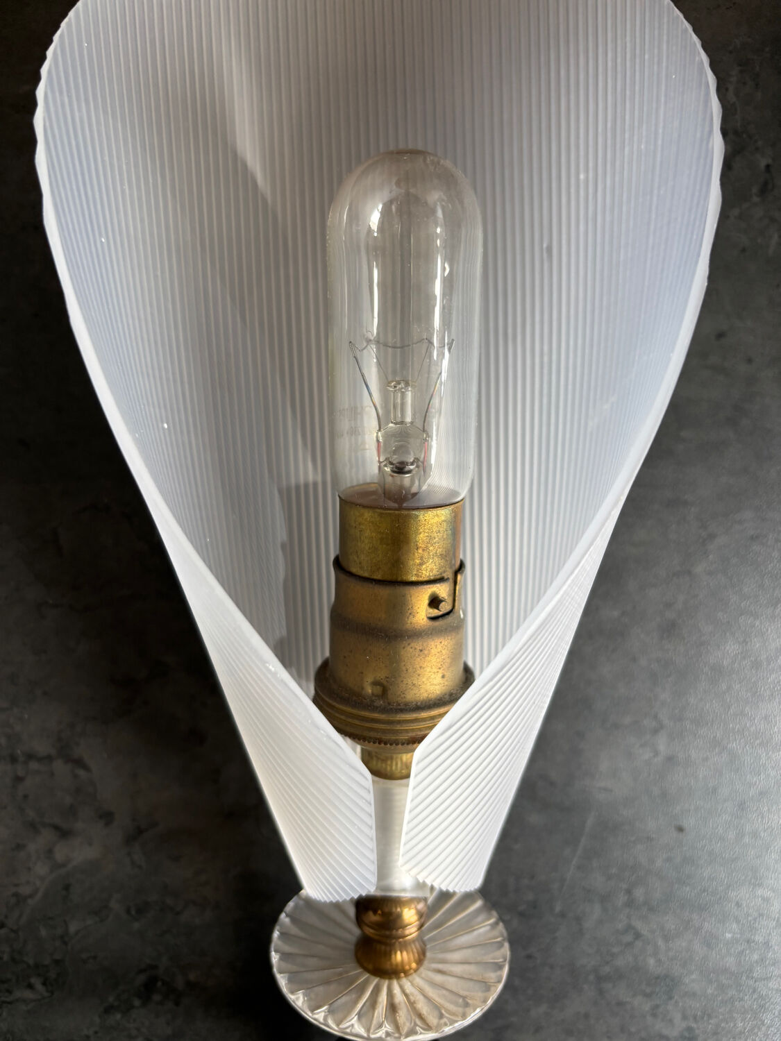 Wall light 2 horn brass house Marlux