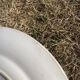 Set of 8 mismatched iron earth flat plates