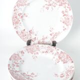 Assiettes plates terre de fer St Amand & hamage