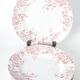 Assiettes plates terre de fer St Amand & hamage