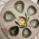 Oyster set