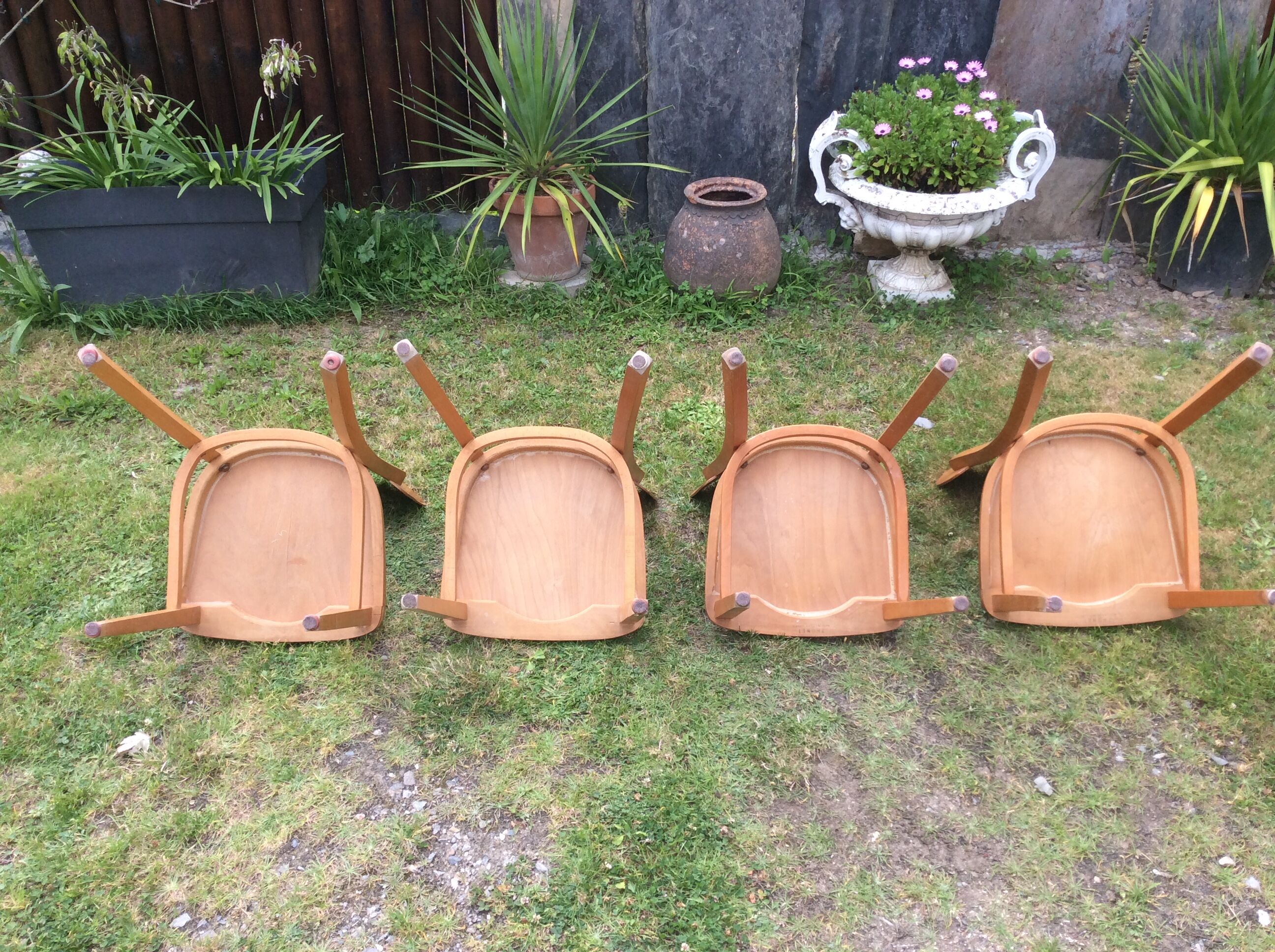 Chaises vintage estampillées Thonet en bois de hêtre courbé aux dossiers incurvés