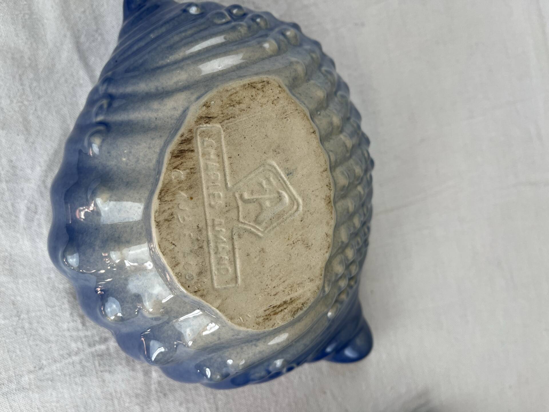 Set of shell bowls