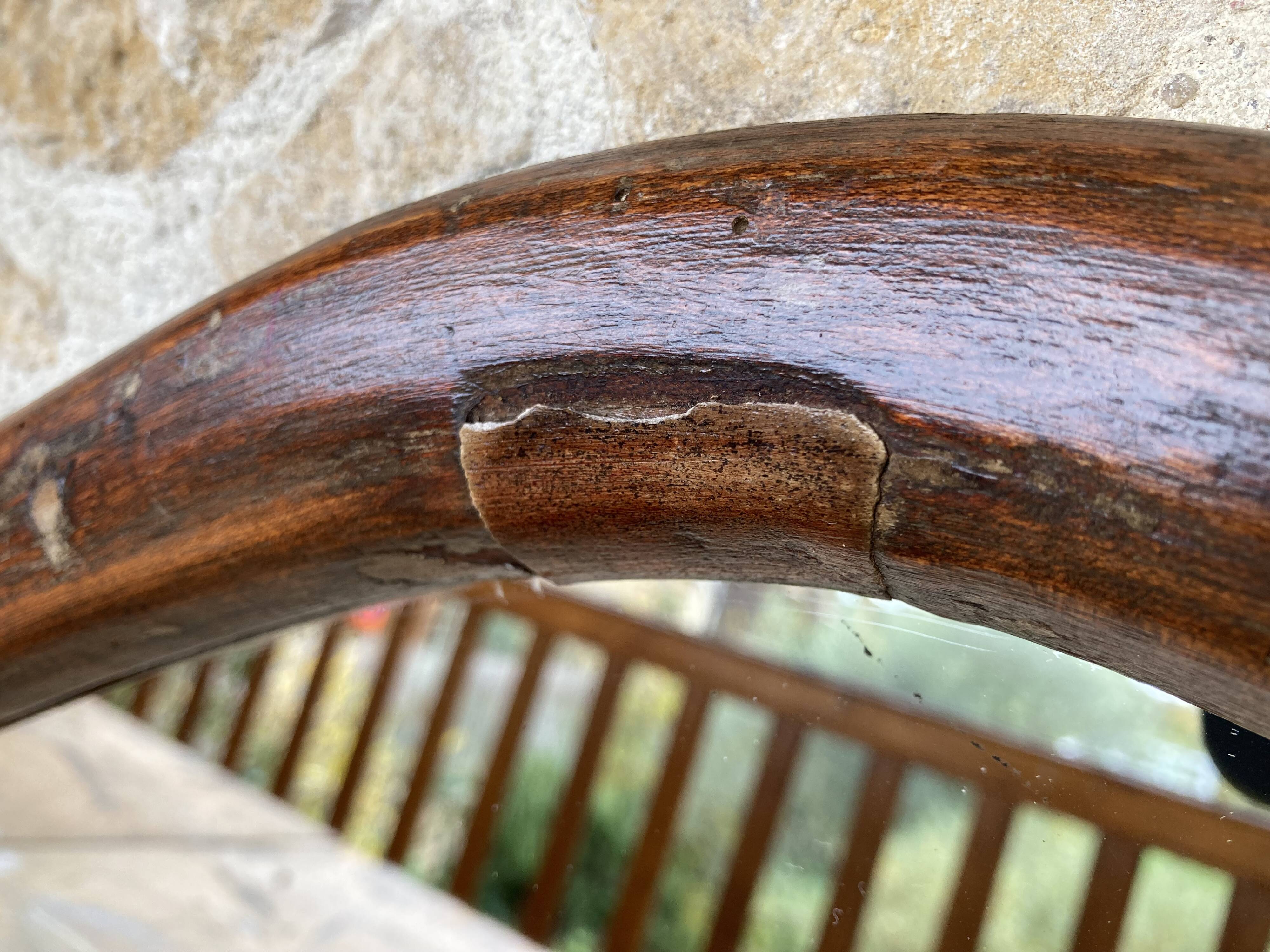 Mirror with fish-shaped wooden frame