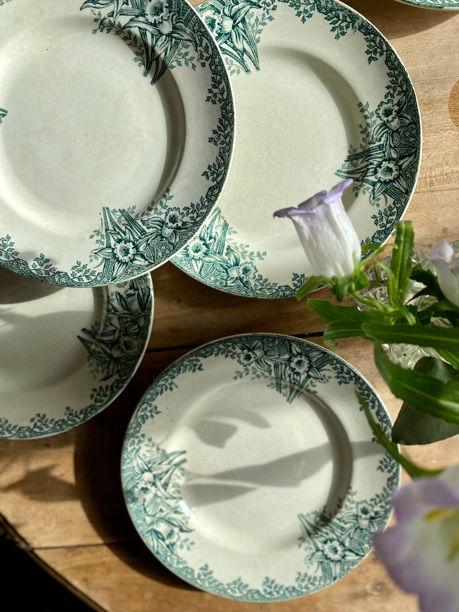 Set of 8 vintage flat plates in iron earth, model Narcisses de Saint Amand (LOT1)