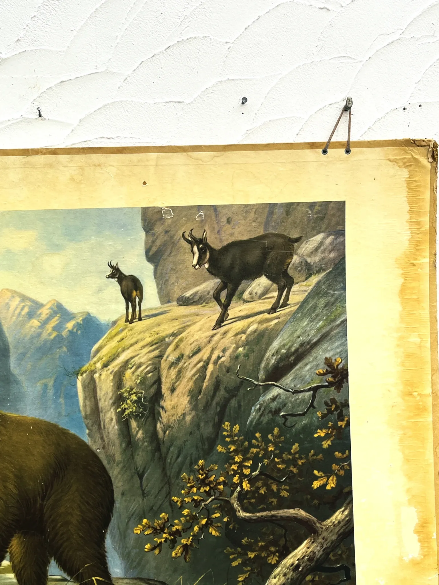 School poster J.B. Wolters