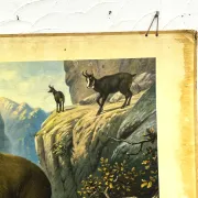 School poster J.B. Wolters