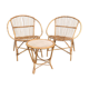 Rattan living room, set of 2 armchairs and a coffee table
