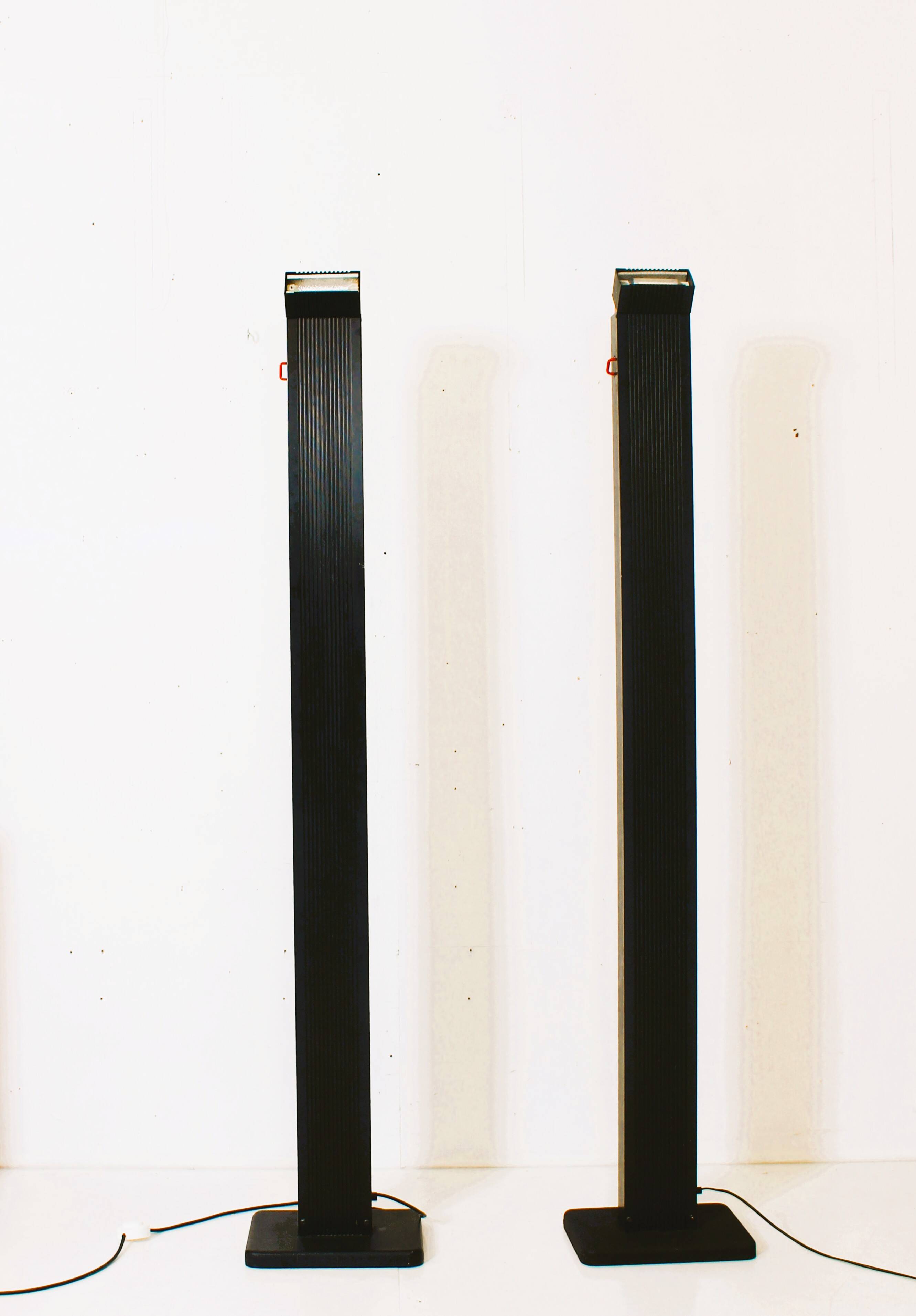 Pair of vintage Italian floor lamps "Zagar" by Silvio Carpani for Stil