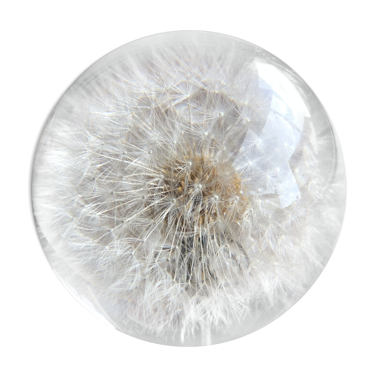 Decorative paper press, glass