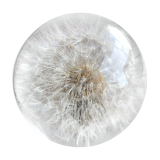 Decorative paper press, glass