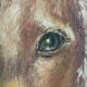 Vintage original dog portrait oil paintings set