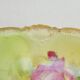 Pair of limoges porcelain plate ''Mandavy de mavaleix'' rose decoration