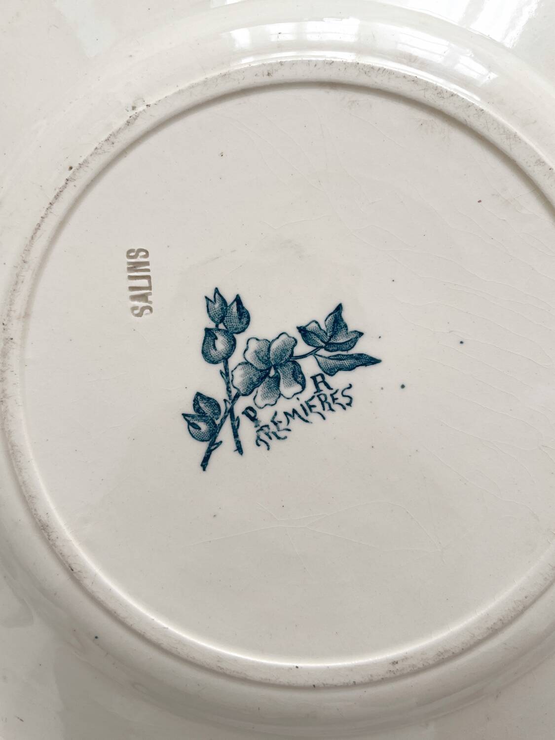 Antique ironstone plate "Tremières" Salins